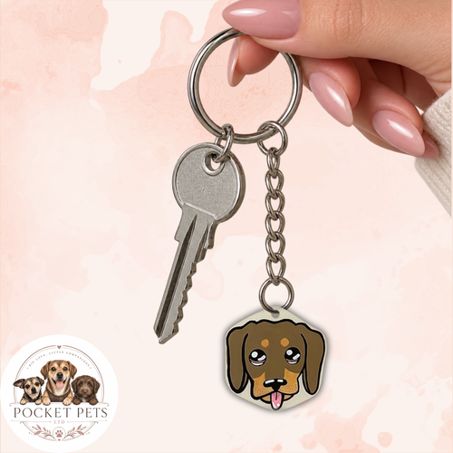 Dachshund No.1 Pet Portrait